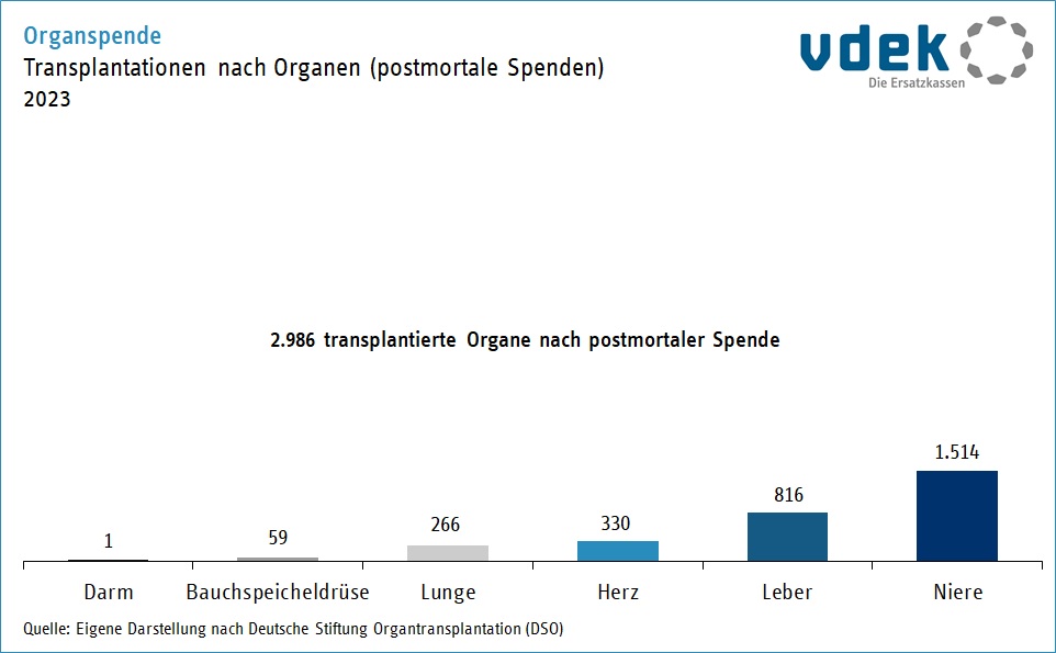 Säulendiagramm zeigt die Zahl der Transplantationen nach Organen 2023